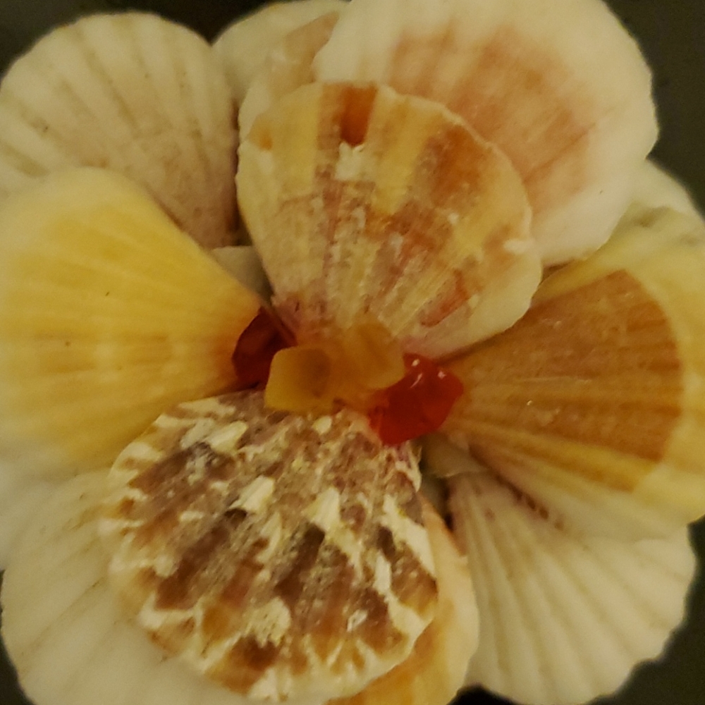 Home decor shell flower - Picture 4 of 6